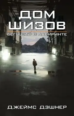 Постер книги Дом шизов книга Дом шизов