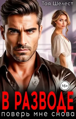 книга В разводе. Поверь мне снова