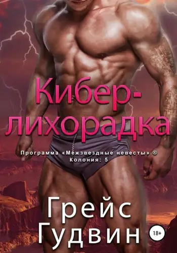 книга Кибер-лихорадка