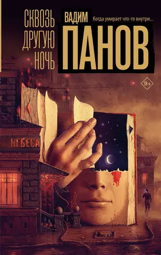 книга Сквозь другую ночь