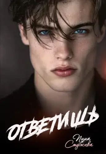 книга Ответишь