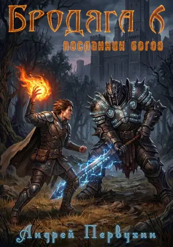 книга Бродяга Посланник богов