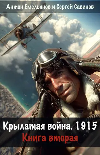 Книга Крылатая война 1915. Книга вторая читать онлайн