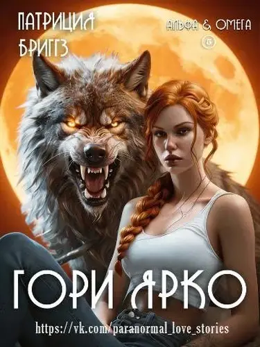 книга Гори ярко