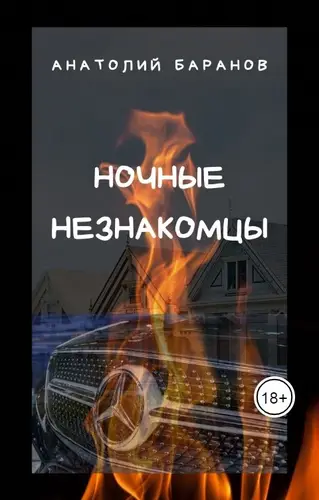 книга Ночные незнакомцы