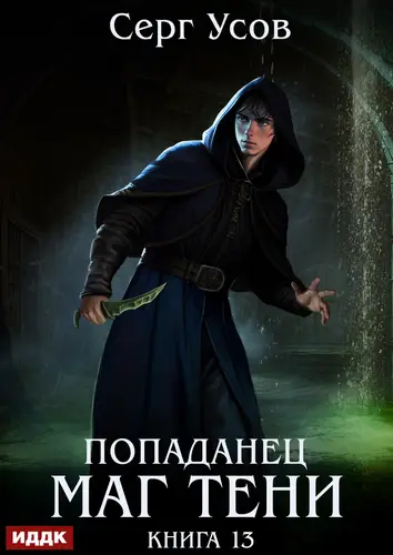 книга Попаданец. Маг Тени. Книга 13